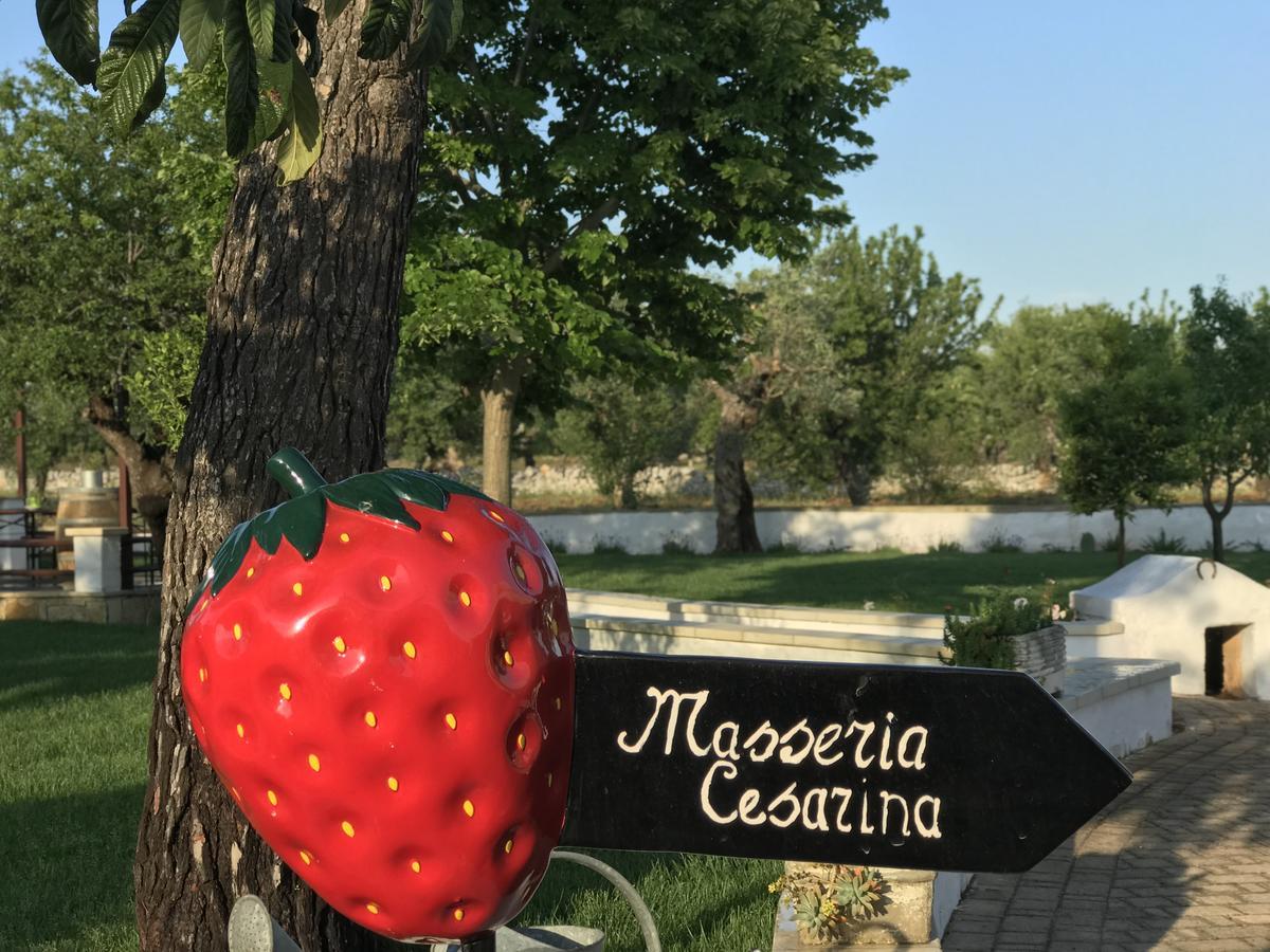 Masseria Cesarina B&B Castellana Grotte Exteriér fotografie